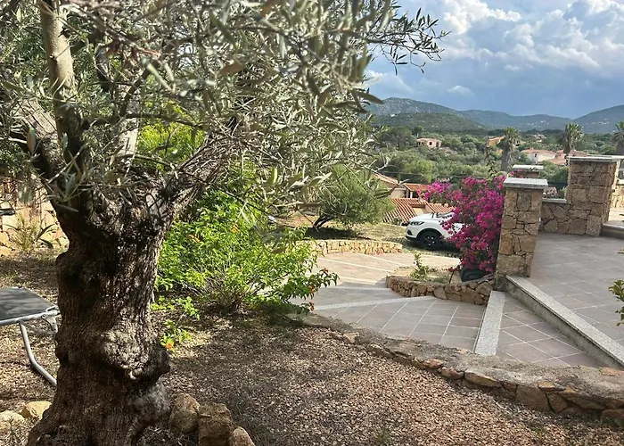 Panoramica *