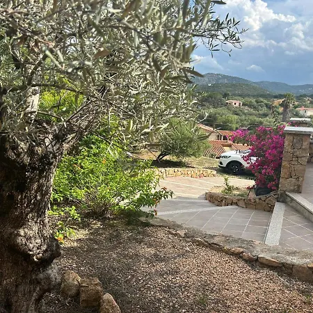 Panoramica *